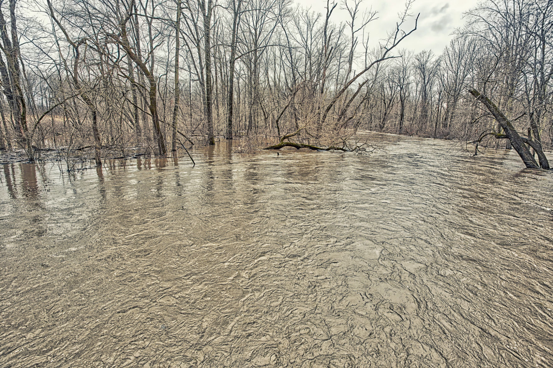Flood